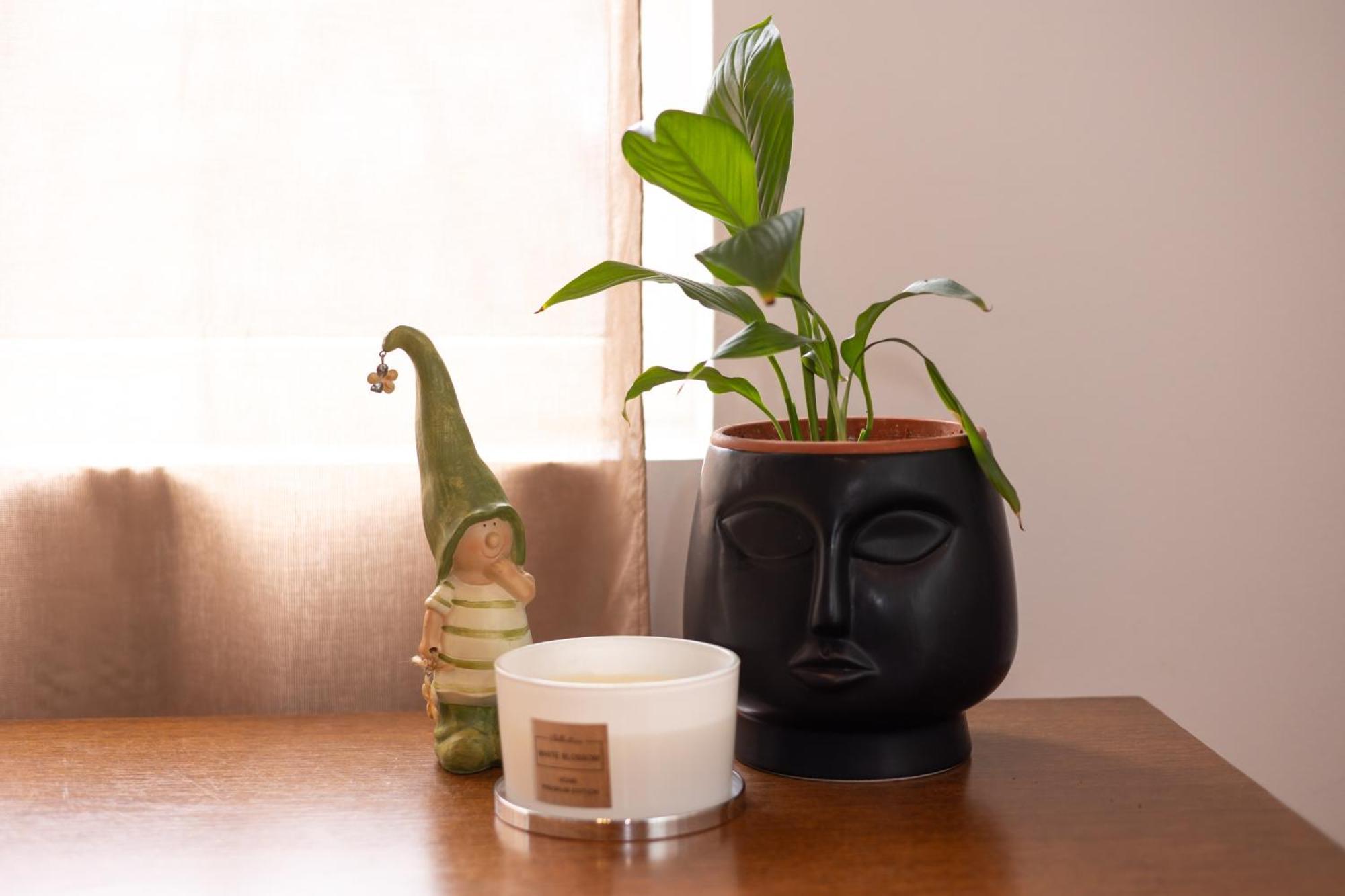 Shared Retro Vintage Luxury Apartment 布加勒斯特 外观 照片